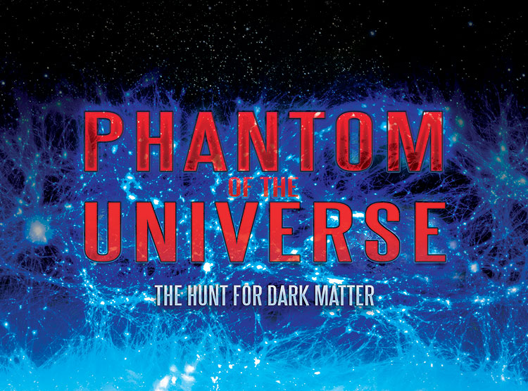 Phantom of the Universe