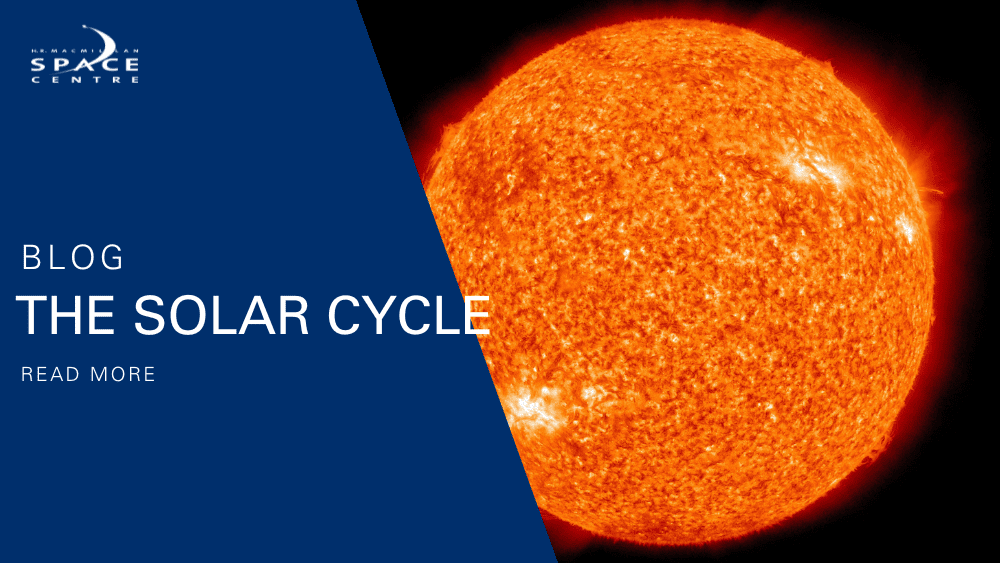 The Solar Cycle